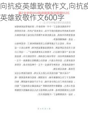 向抗疫英雄致敬作文,向抗疫英雄致敬作文600字-第3张图片-二喜范文网