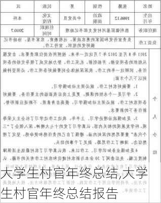 大学生村官年终总结,大学生村官年终总结报告-第2张图片-二喜范文网