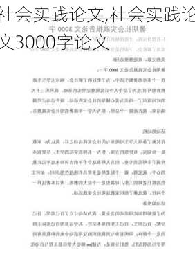 社会实践论文,社会实践论文3000字论文-第1张图片-二喜范文网