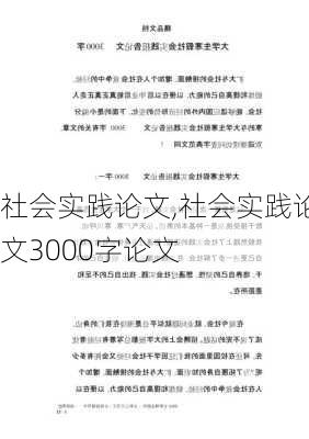 社会实践论文,社会实践论文3000字论文-第2张图片-二喜范文网