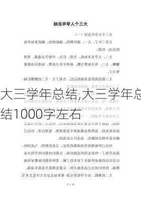 大三学年总结,大三学年总结1000字左右-第1张图片-二喜范文网