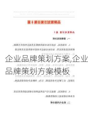 企业品牌策划方案,企业品牌策划方案模板-第2张图片-二喜范文网