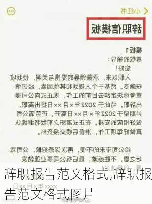 辞职报告范文格式,辞职报告范文格式图片