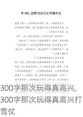 300字那次玩得真高兴,300字那次玩得真高兴打雪仗