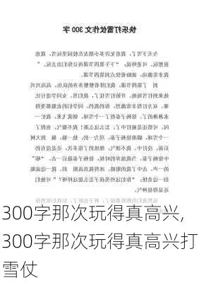 300字那次玩得真高兴,300字那次玩得真高兴打雪仗-第2张图片-二喜范文网