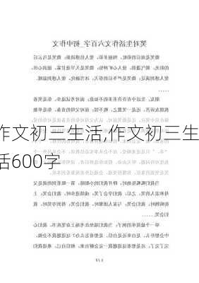 作文初三生活,作文初三生活600字-第3张图片-二喜范文网