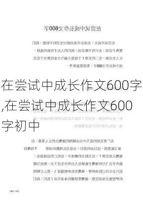 在尝试中成长作文600字,在尝试中成长作文600字初中