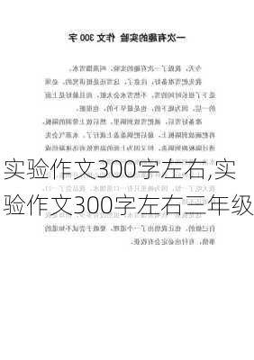 实验作文300字左右,实验作文300字左右三年级-第3张图片-二喜范文网