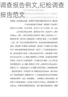 调查报告例文,纪检调查报告范文-第3张图片-二喜范文网