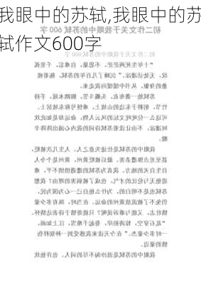 我眼中的苏轼,我眼中的苏轼作文600字-第1张图片-二喜范文网