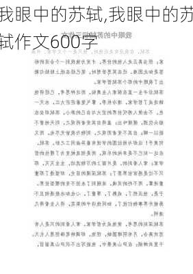 我眼中的苏轼,我眼中的苏轼作文600字-第3张图片-二喜范文网