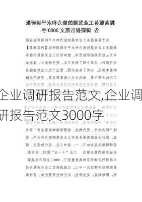 企业调研报告范文,企业调研报告范文3000字