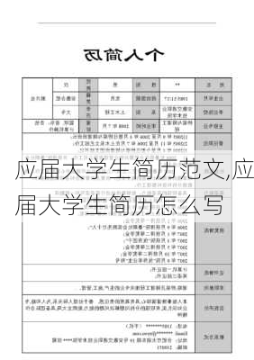 应届大学生简历范文,应届大学生简历怎么写