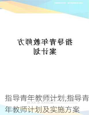 指导青年教师计划,指导青年教师计划及实施方案-第2张图片-二喜范文网