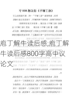 庖丁解牛读后感,庖丁解牛读后感800字高中议论文-第1张图片-二喜范文网