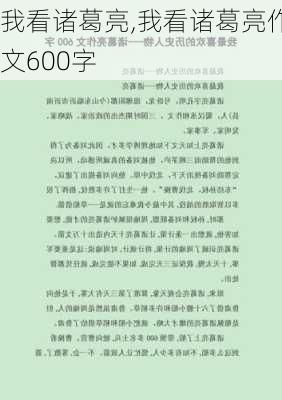 我看诸葛亮,我看诸葛亮作文600字-第3张图片-二喜范文网