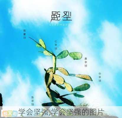 学会坚强,学会坚强的图片-第3张图片-二喜范文网