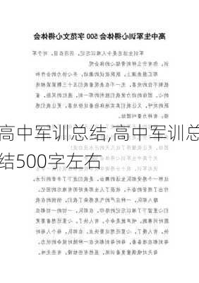 高中军训总结,高中军训总结500字左右-第2张图片-二喜范文网