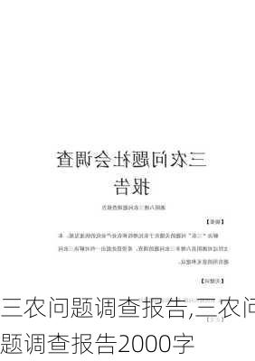 三农问题调查报告,三农问题调查报告2000字-第3张图片-二喜范文网