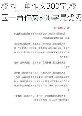 校园一角作文300字,校园一角作文300字最优秀-第2张图片-二喜范文网