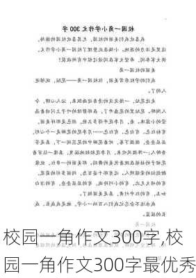 校园一角作文300字,校园一角作文300字最优秀-第3张图片-二喜范文网