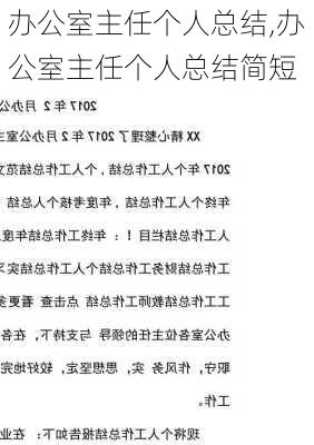 办公室主任个人总结,办公室主任个人总结简短-第2张图片-二喜范文网