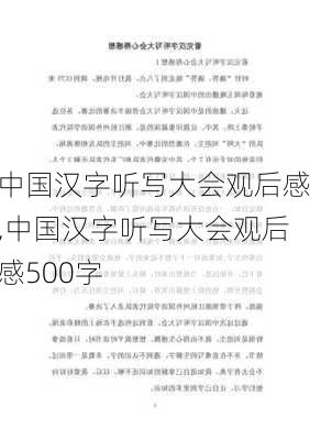 中国汉字听写大会观后感,中国汉字听写大会观后感500字