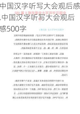 中国汉字听写大会观后感,中国汉字听写大会观后感500字-第3张图片-二喜范文网