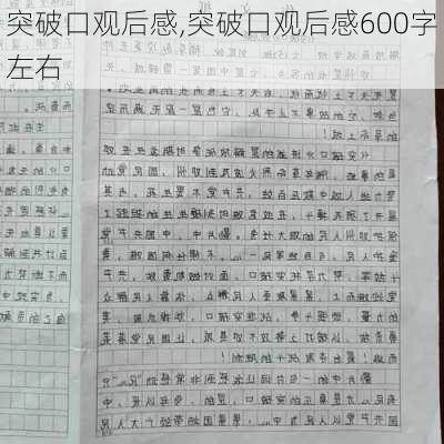 突破口观后感,突破口观后感600字左右-第2张图片-二喜范文网