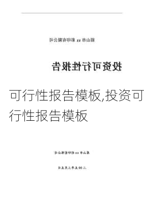 可行性报告模板,投资可行性报告模板-第2张图片-二喜范文网