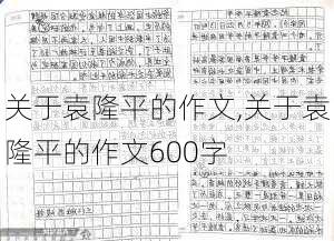 关于袁隆平的作文,关于袁隆平的作文600字-第3张图片-二喜范文网