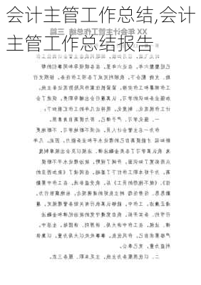 会计主管工作总结,会计主管工作总结报告-第2张图片-二喜范文网