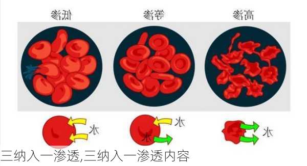 三纳入一渗透,三纳入一渗透内容-第3张图片-二喜范文网