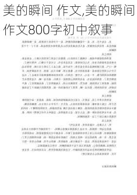 美的瞬间 作文,美的瞬间作文800字初中叙事-第2张图片-二喜范文网