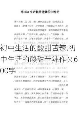 初中生活的酸甜苦辣,初中生活的酸甜苦辣作文600字