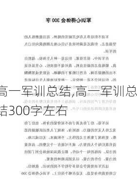 高一军训总结,高一军训总结300字左右-第1张图片-二喜范文网