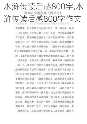 水浒传读后感800字,水浒传读后感800字作文-第2张图片-二喜范文网