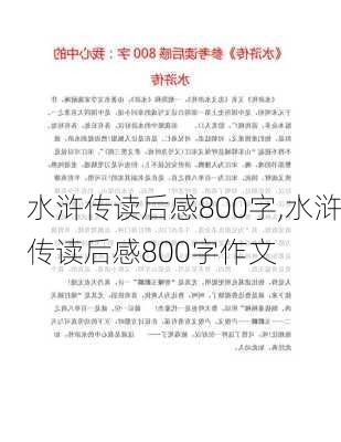 水浒传读后感800字,水浒传读后感800字作文-第3张图片-二喜范文网