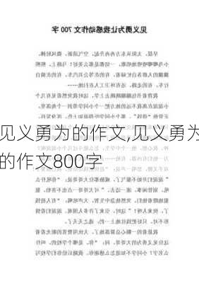 见义勇为的作文,见义勇为的作文800字-第3张图片-二喜范文网