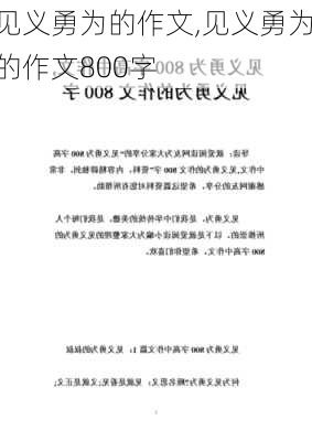 见义勇为的作文,见义勇为的作文800字