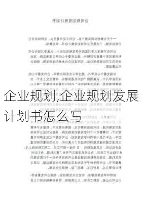 企业规划,企业规划发展计划书怎么写-第3张图片-二喜范文网