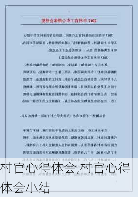 村官心得体会,村官心得体会小结-第3张图片-二喜范文网