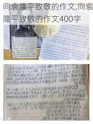 向袁隆平致敬的作文,向袁隆平致敬的作文400字-第2张图片-二喜范文网