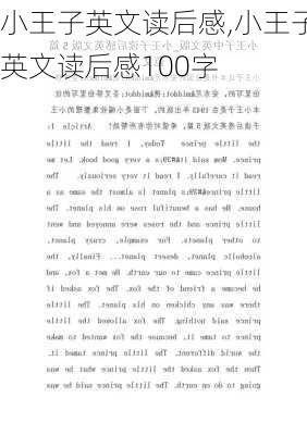 小王子英文读后感,小王子英文读后感100字-第2张图片-二喜范文网