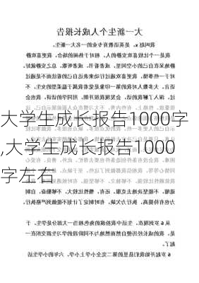 大学生成长报告1000字,大学生成长报告1000字左右-第2张图片-二喜范文网