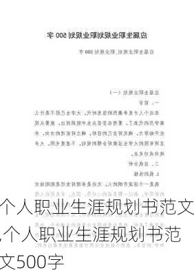 个人职业生涯规划书范文,个人职业生涯规划书范文500字-第2张图片-二喜范文网