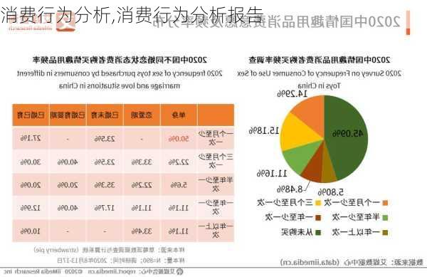 消费行为分析,消费行为分析报告