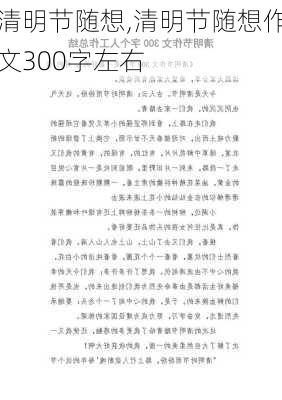 清明节随想,清明节随想作文300字左右-第2张图片-二喜范文网