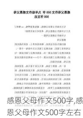 感恩父母作文500字,感恩父母作文500字左右-第3张图片-二喜范文网