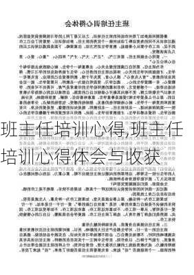 班主任培训心得,班主任培训心得体会与收获-第3张图片-二喜范文网